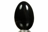 Black Petrified Palmwood (Palmoxylon) Egg - California #309052-1